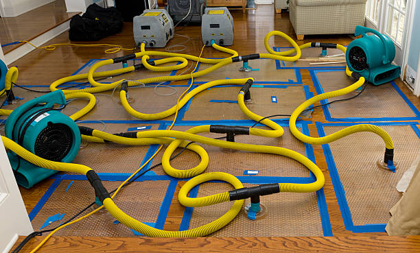 Professional Structural Drying And Dehumidification technician working in Zarephath, NJ